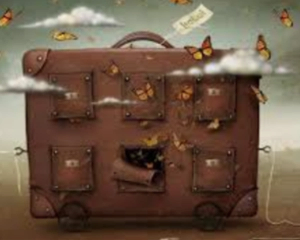 valise papillons catherine Bedigis - Psychanalyste Seillans Psychopratricienne Seillans psy